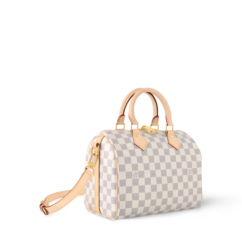 Monogram Travel Speedy Bag