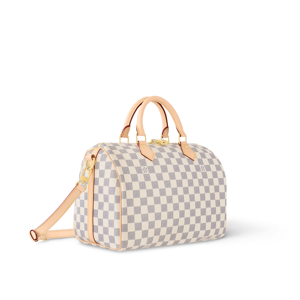 Monogram Travel Speedy Bag